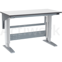 POSTE DE TRAVAIL MOTORISE 300 - 600 KG - GAMME W