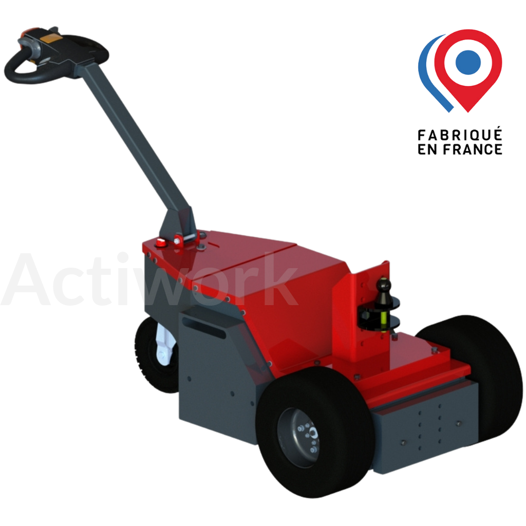 TIMON MOTORISE TM30 - 3000KG (copie) (copie)